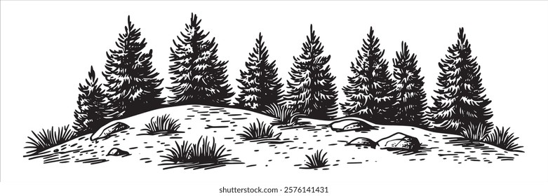 pine forest on a rocky hill in black and white hand-drawn style