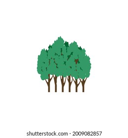 pine forest scene icon vector