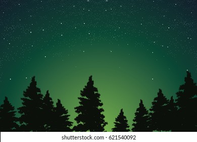 Pine Forest Scenery With Starry Night Sky Vector Illustration.