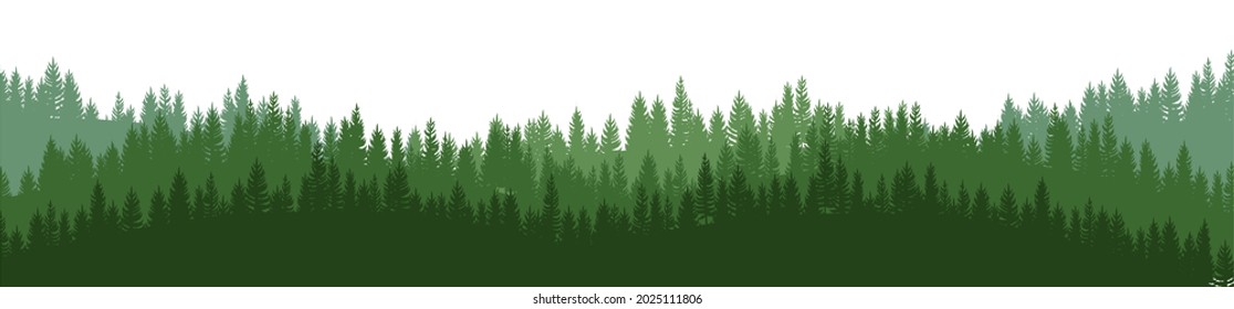 Pine forest. Silhouettes of coniferous trees. Wild landscape horizontally. Nice panoramic view. Beautifully illustration isolated on white background. vector.