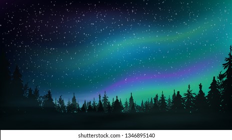 Pine forest, starry sky and Northern lights