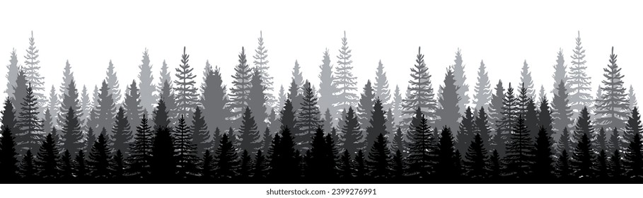 Pine forest. Pine trees silhouette. Coniferous woods silhouette. Pine wood panorama view. High pines in fir Trees forest, isolated