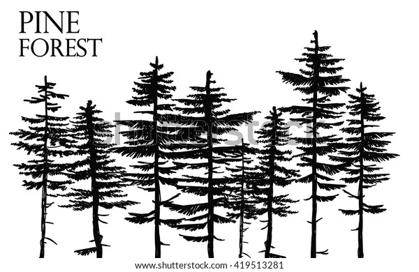 Pine Forest Vector Freehand Drawing Sketch Stock Vector Royalty Free