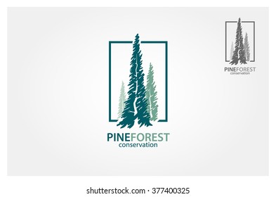 Pine Forest Vector Logo Template. Vector illustration of pines tree. It's good for forest conservation logo