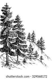 Pine Forest, Winter Mountain Landscape Drawing