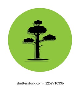 Pine in green badge icon