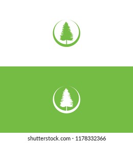 pine green tree concept environmental design vector illustration