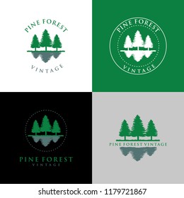 pine green tree concept environmental design vector illustration