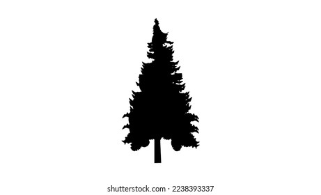 pine high quality black silhouette profile