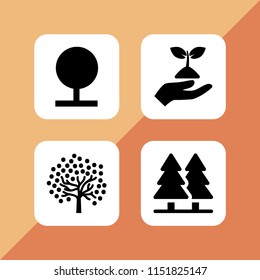pine icon. 4 pine set with forest and tree vector icons for web and mobile app