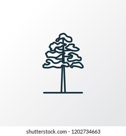 Pine icon line symbol. Premium quality isolated oak element in trendy style.