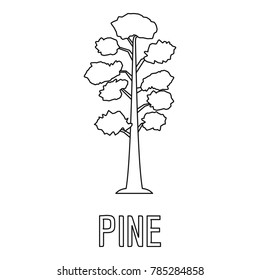 Pine icon. Outline illustration of pine vector icon for web