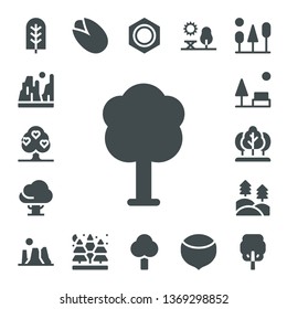 pine icon set. 17 filled pine icons.  Collection Of - Tree, Canyon, Park, Forest, Pistachio, Spruce, Nut, Hazelnut, Trees