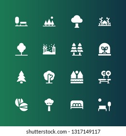 pine icon set. Collection of 16 filled pine icons included Park, Bench, Tree, Pistachio, Forest, Pine