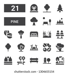 pine icon set. Collection of 21 filled pine icons included Park, Forest, Bench, Tree, Nuts, Pistachio, Pine