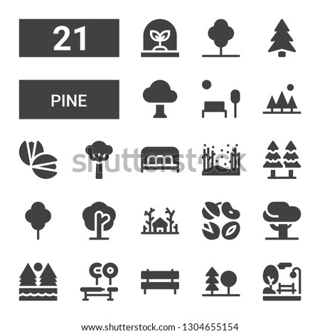 pine icon set. Collection of 21 filled pine icons included Park, Forest, Bench, Tree, Nuts, Pistachio, Pine