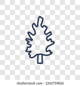 Pine icon. Trendy linear Pine logo concept on transparent background from Nature collection