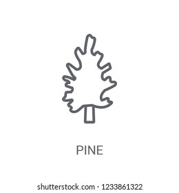 Pine icon. Trendy Pine logo concept on white background from Nature collection. Suitable for use on web apps, mobile apps and print media.