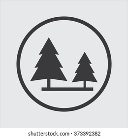 Pine icon . Vector illustration