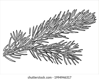 Pine leaf in the doodle style. Hand-drawn silhouette with a fir cone. 
Botanical 
vector illustration