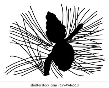 Pine leaf in the doodle style. Hand-drawn silhouette with a fir cone. 
Botanical 
vector illustration