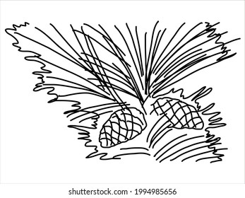 Pine leaf in the doodle style. Hand-drawn silhouette with a fir cone. 
Botanical 
vector illustration