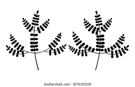 Pine leaf vector botanical illustration. Boho foliage lineart. Christmas Forest greenery clipart.