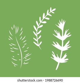 Pine and leaves branches vector illustration
