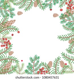 Pine leaves, pine seeds and red berries frame vector on white background.