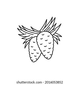 Pine сolor line icon. Essential oils fruit seeds. Pictogram for web page, mobile app, promo. UI UX GUI design element. Editable stroke.