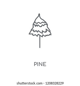 Pine linear icon. Pine concept stroke symbol design. Thin graphic elements vector illustration, outline pattern on a white background, eps 10.