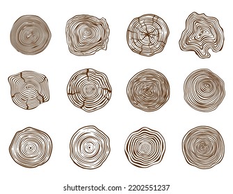 Pine log cut. Forest tree rings, natural sawn and trunk cross section. Wooden circle rings stencil vector set of ring textured stencil illustration