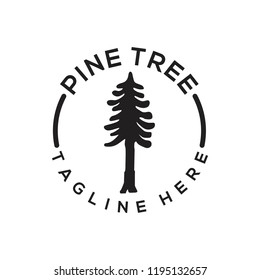 Pine Logo Design. Pine Tree Logo Vector. Pine Forest Logo Template