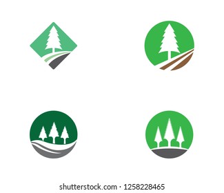 Pine logo template vector icon