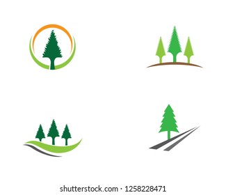 Pine logo template vector icon