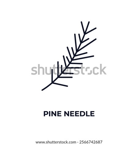 pine needle outline icon. Linear vector from nature concept. Thin line pine needle icon isolated on white background