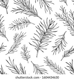 Pine Needles Drawing Images Stock Photos Vectors Shutterstock