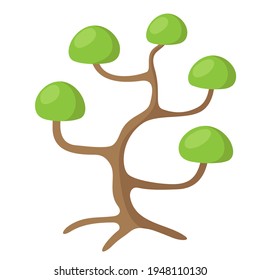 Nivaki pino, dibujo vectorial. Jardín de Bonsai, árbol verde para crear paisajes.