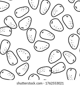 Pine nut  hand drawn vector seamless pattern. Outline monochrome texture made in doodle style.Fruit 
background for package, merch, wallpaper, menu and other design.