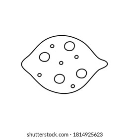 pine nut icon over white background, line style, vector illustration