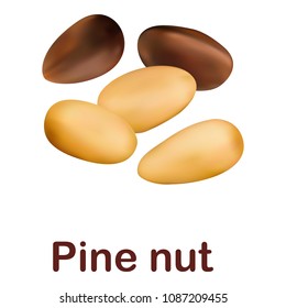 Pine nut icon. Realistic illustration of pine nut vector icon for web design isolated on white background