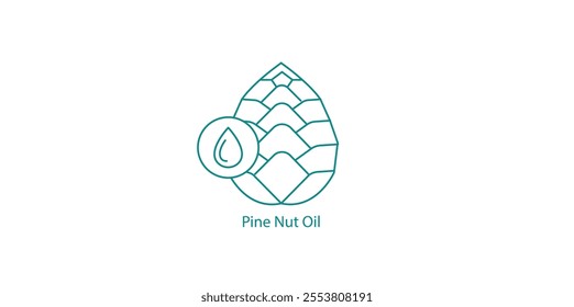 Pine Nut Oil Gourmet Cooking Vector Icon