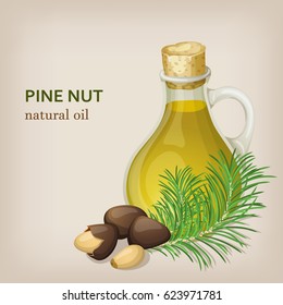Pine nut oil. Vector illustration.