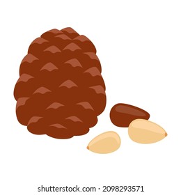 Pine nut, shell and seed. Pine nut food. Healthy diet. Vector illustration