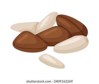Pine nuts clipart. Isolated handful of opened nuts and in a shell nuts in cartoon. Vector illustration of a still life