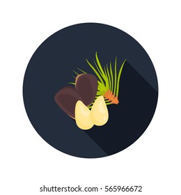 Pine nuts color icon in cartoon design