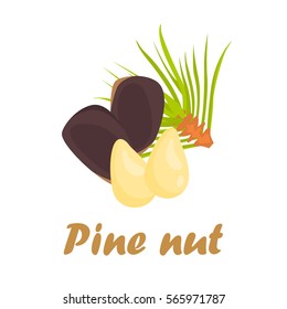 Pine nuts color icon in cartoon design