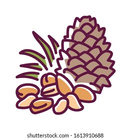 Pine nuts color line icon. Edible seeds of pine trees. One of the more expensive nuts on the market. Pictogram for web page, mobile app, promo. UI UX GUI design element. Editable stroke.