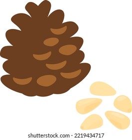 Pine Nuts And Pine Cones