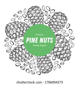 Esbozo dibujado a mano por piñas. Etiqueta de las nueces de pino, logotipo. Ilustración vectorial de nueces. Alimentos orgánicos saludables. Ideal para el diseño de envases. Estilo grabado. Color blanco y negro.
